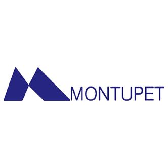 Montupet - Référence client de IPAJE Business Games