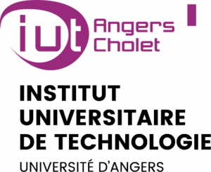 Logo Iut Angers ipaje serious game